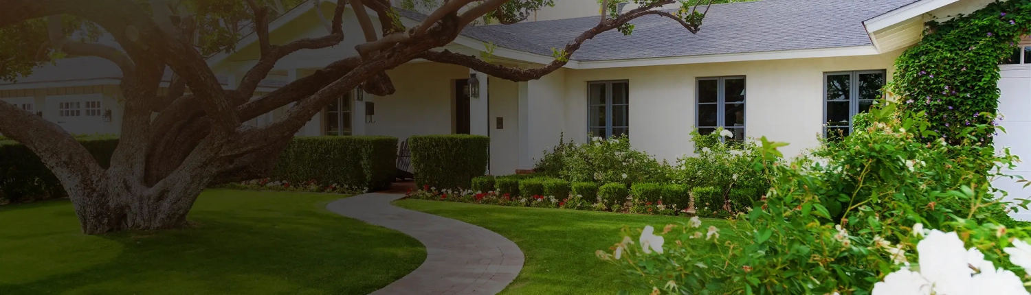 Beautiful Spaces. Expert Care.